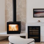 Escea TFS650 Freestanding Wood Fireplace gallery detail image