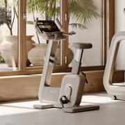 Artis Bike gallery detail image