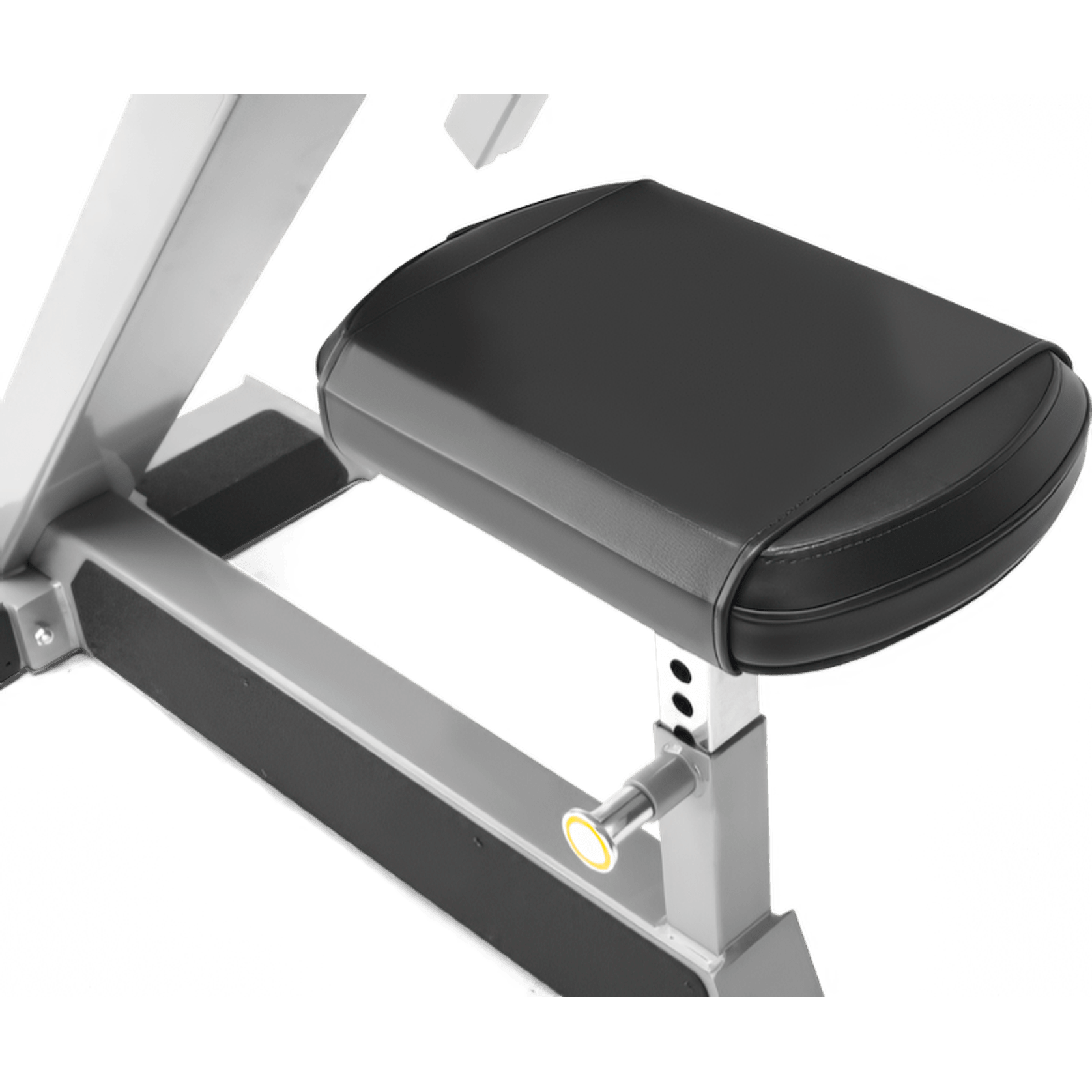 Preacher Curl gallery detail image