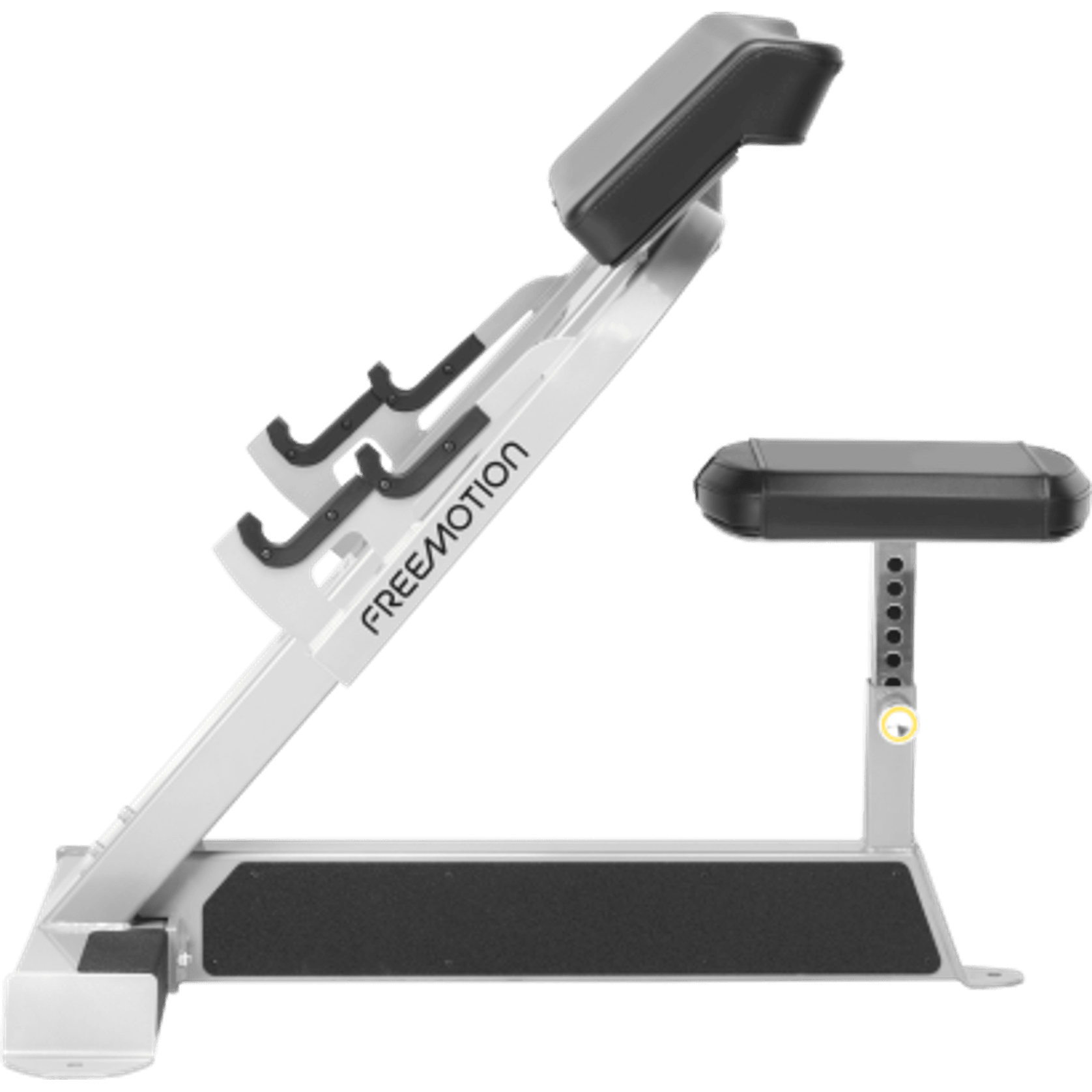 Preacher Curl gallery detail image