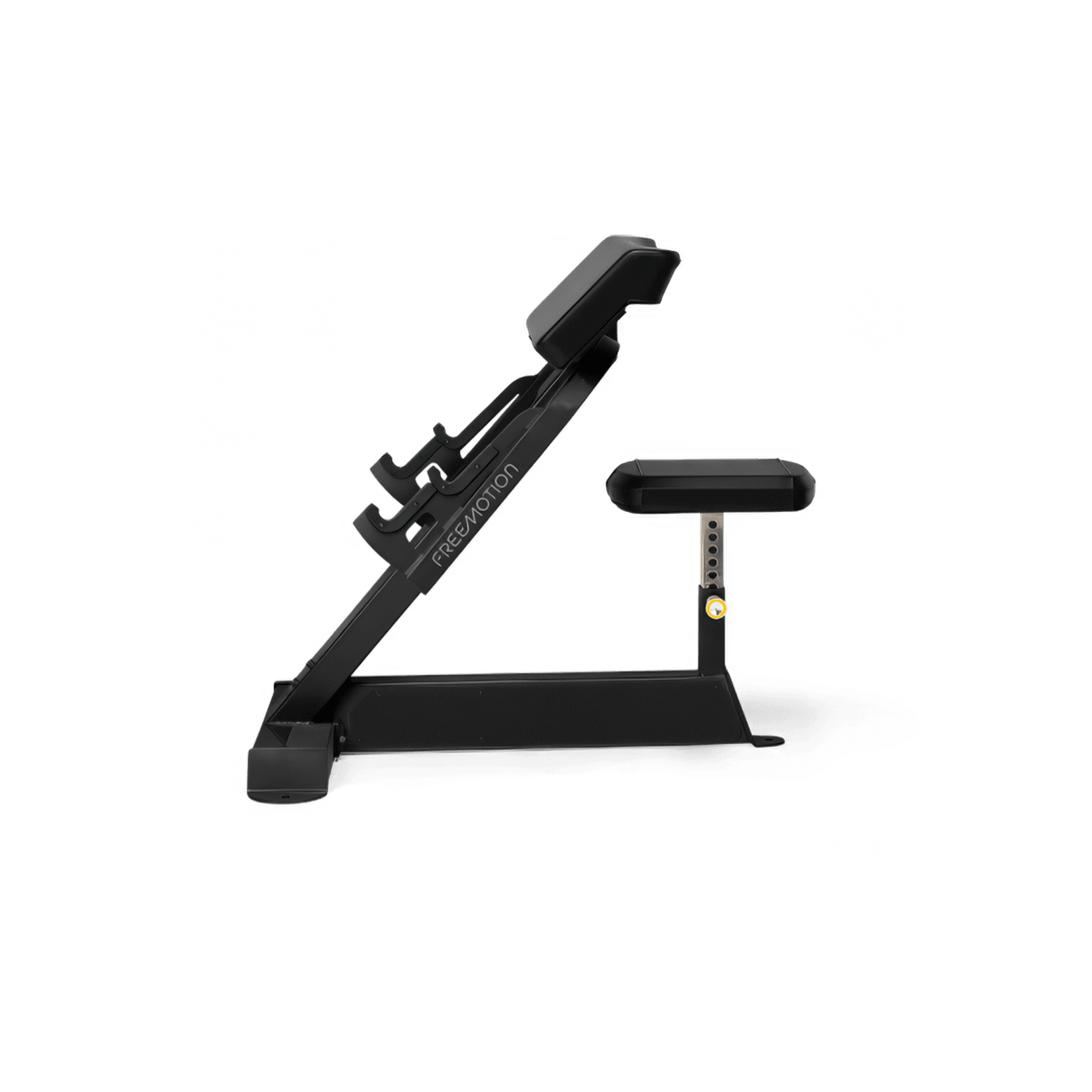 Preacher Curl gallery detail image