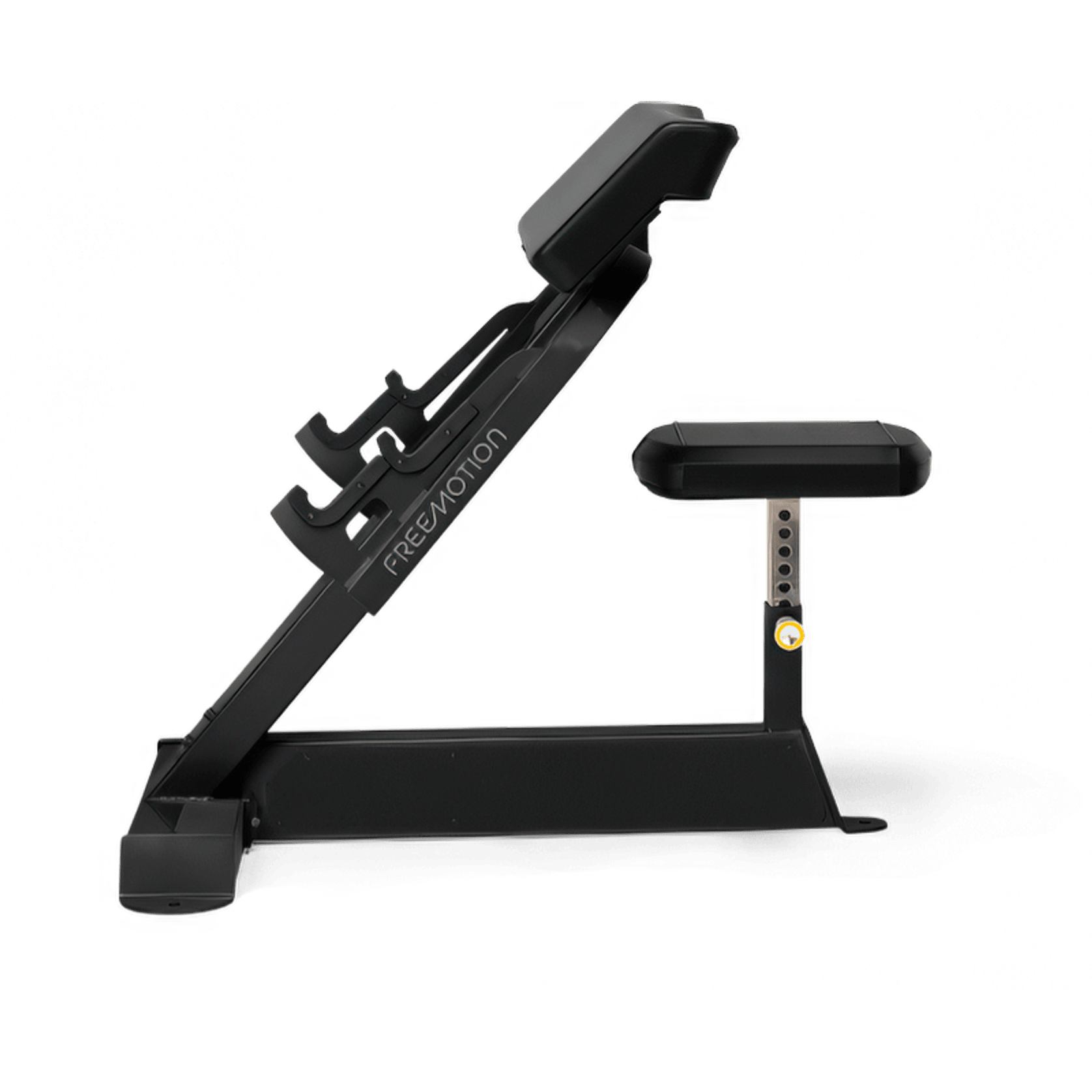 Preacher Curl gallery detail image