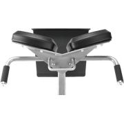 45° Back Extension gallery detail image