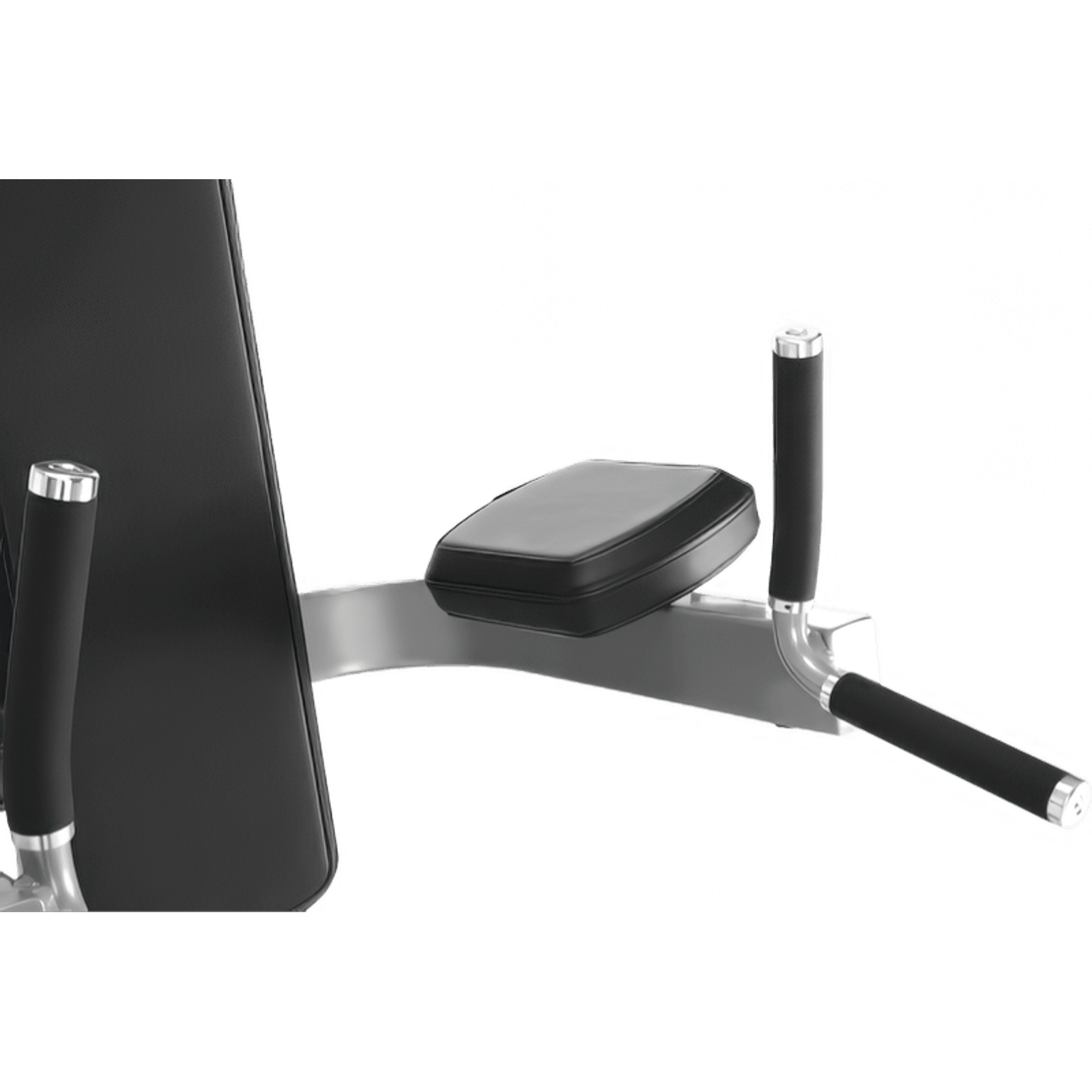 Dip Chin/Ab gallery detail image