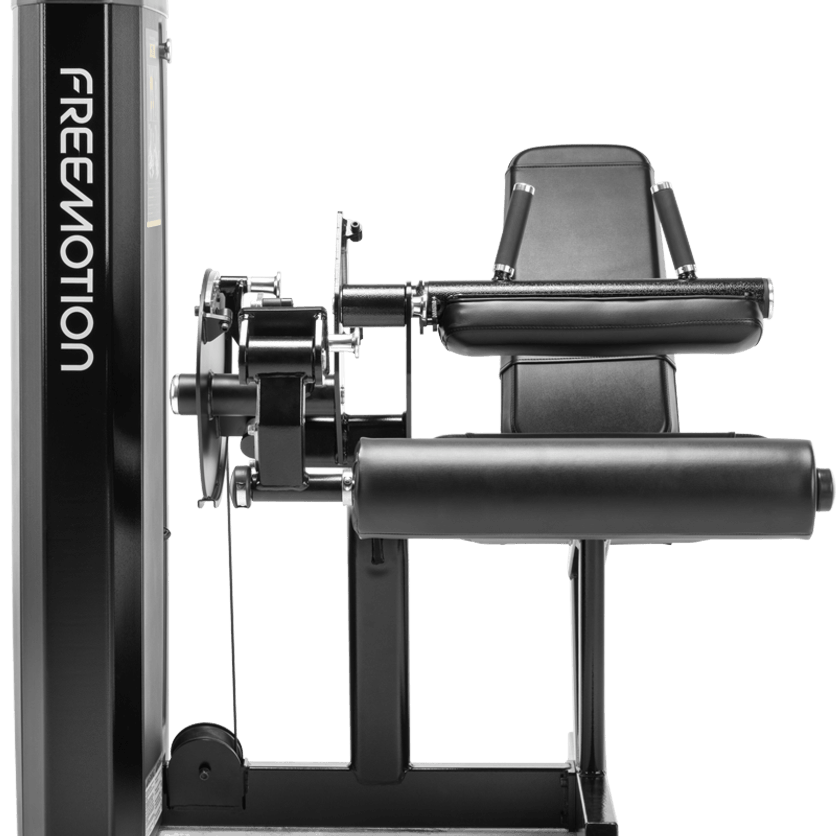 Leg Curl gallery detail image