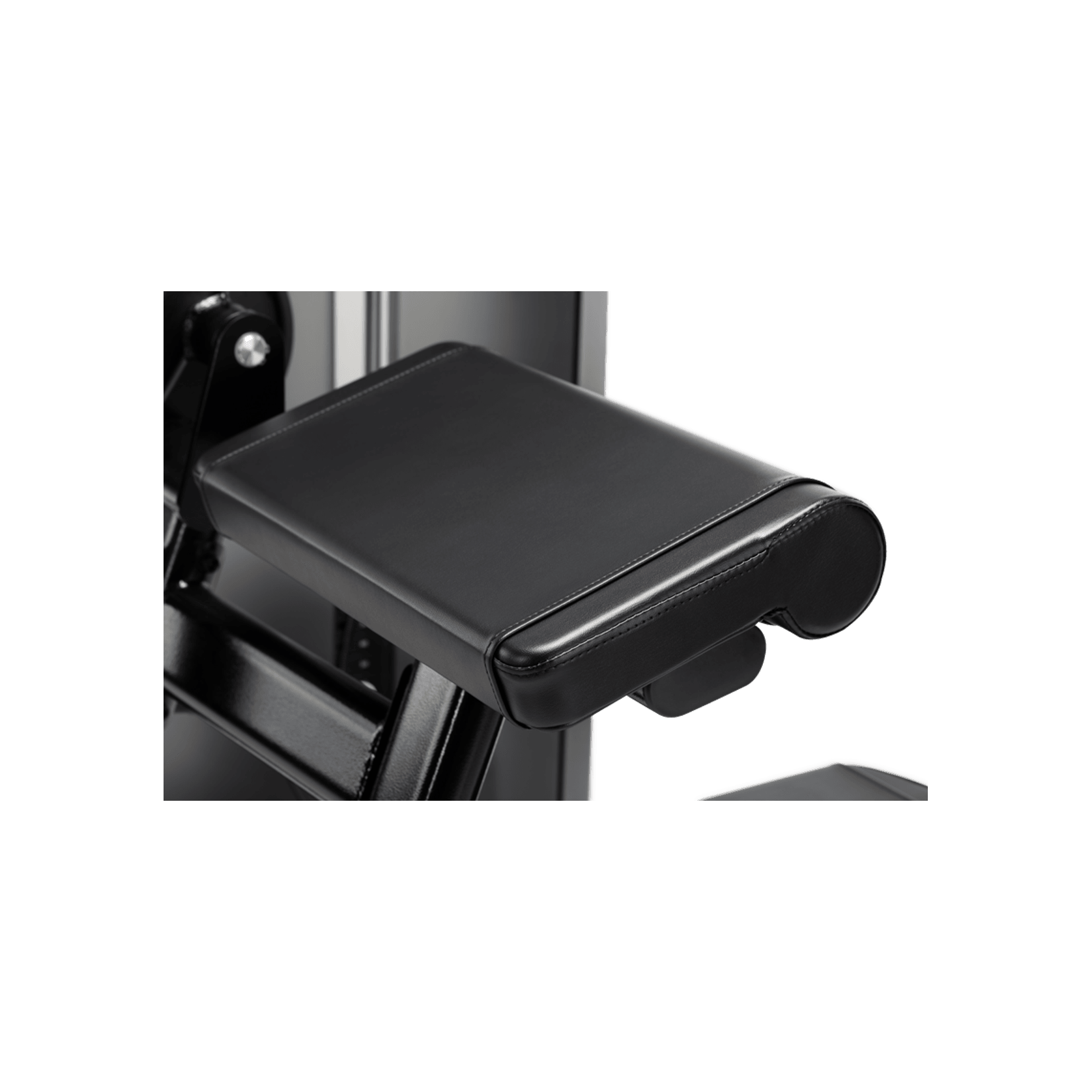 Biceps Curl gallery detail image