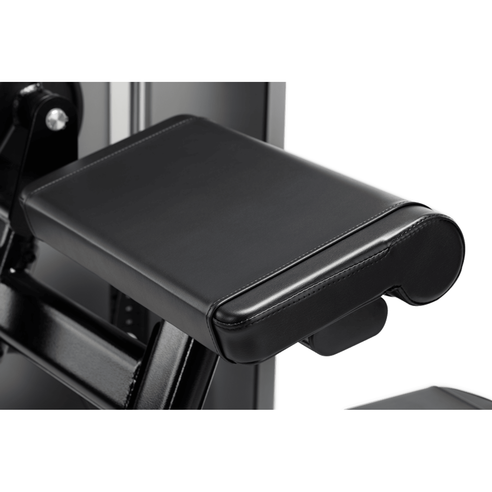 Biceps Curl gallery detail image