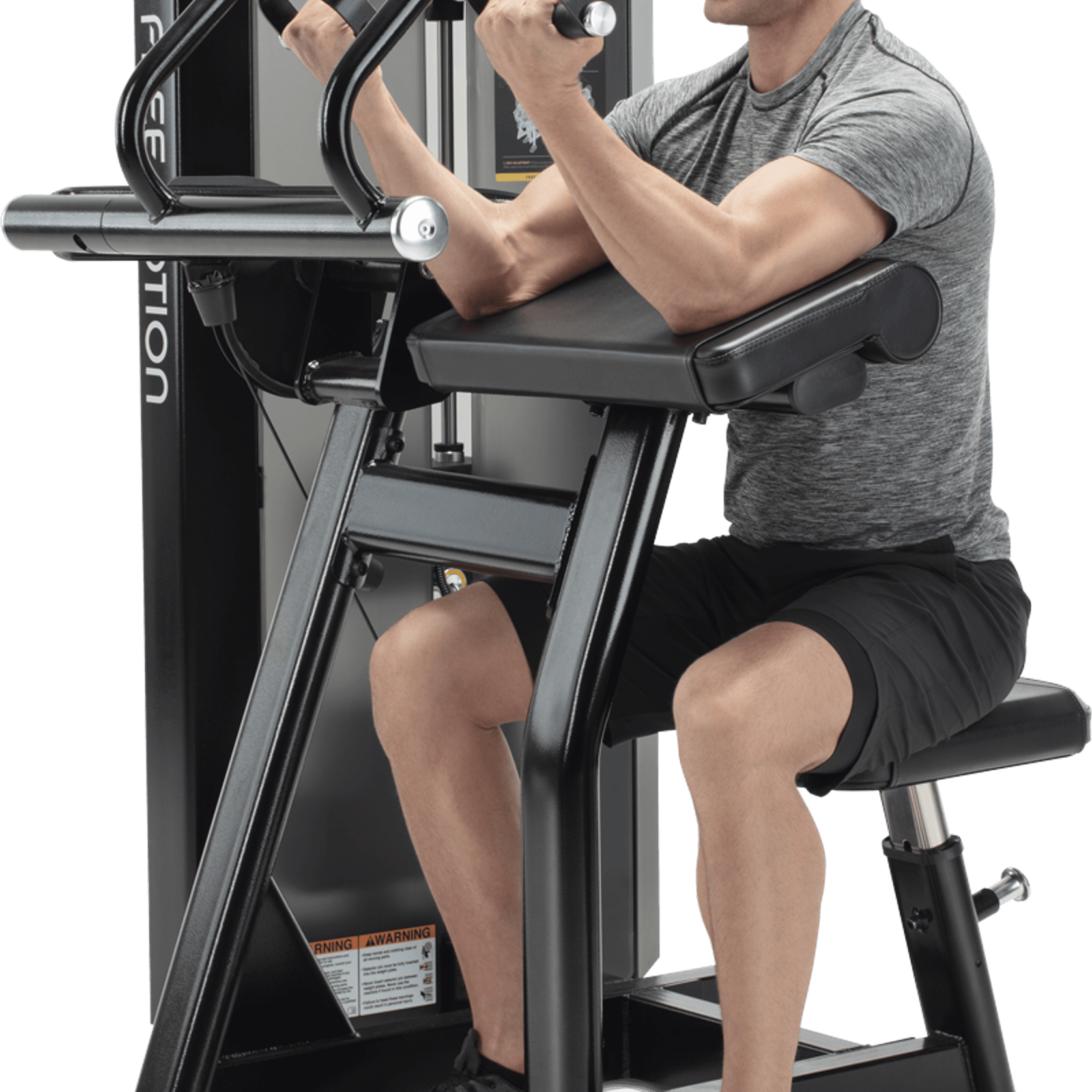 Biceps Curl gallery detail image