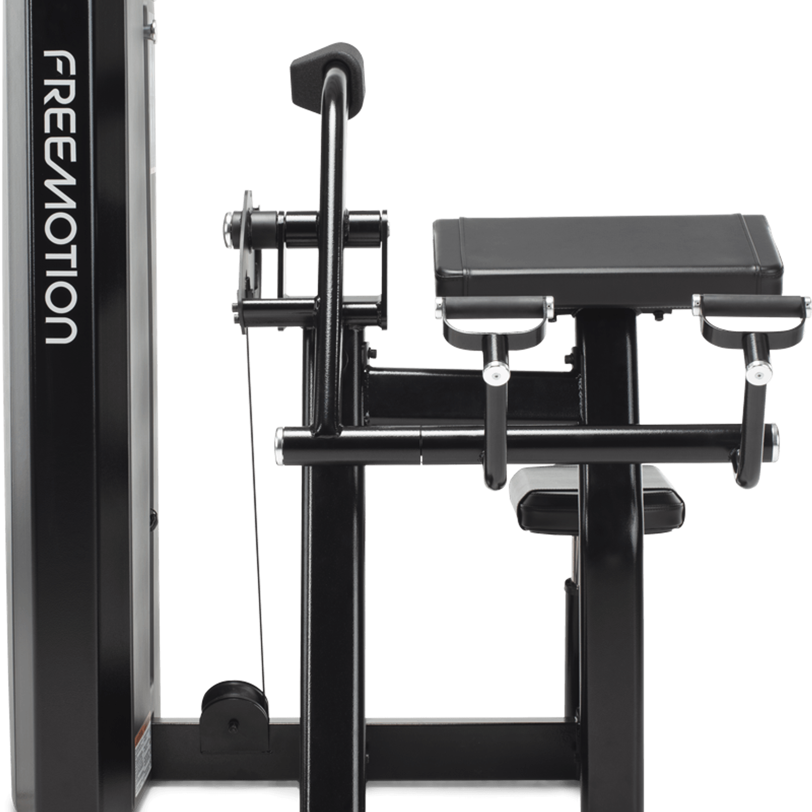 Biceps Curl gallery detail image