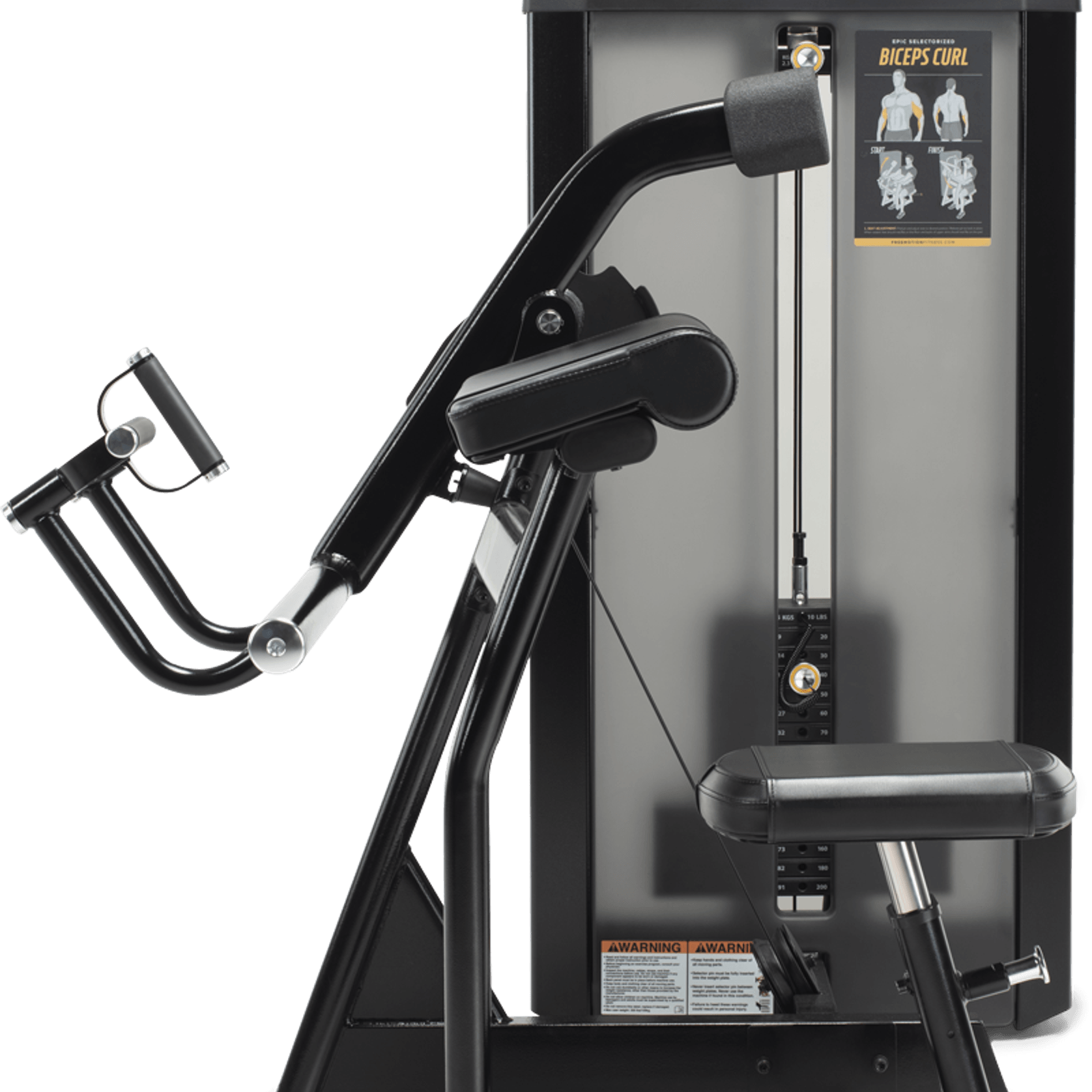 Biceps Curl gallery detail image