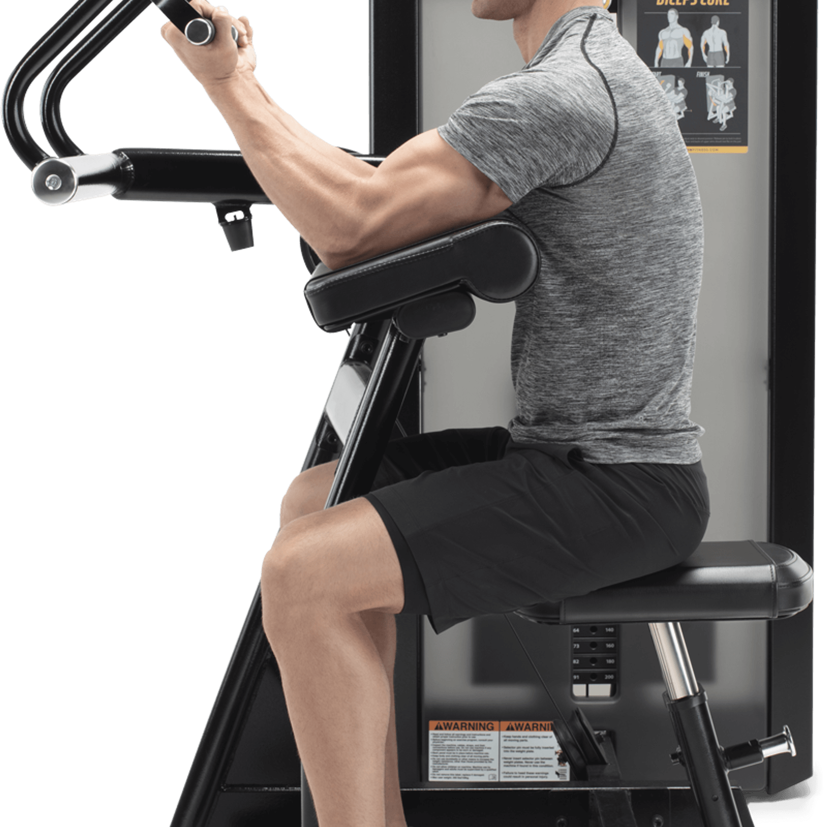 Biceps Curl gallery detail image