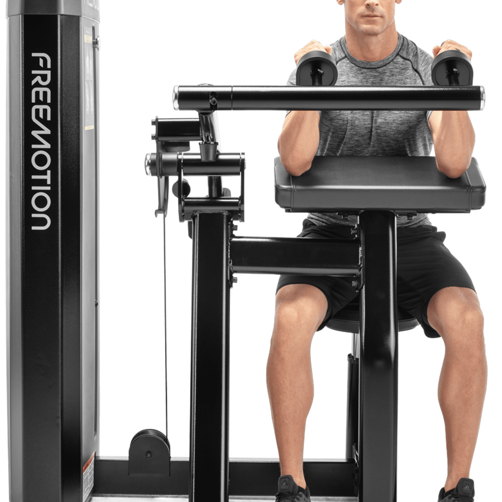 Triceps Extension gallery detail image