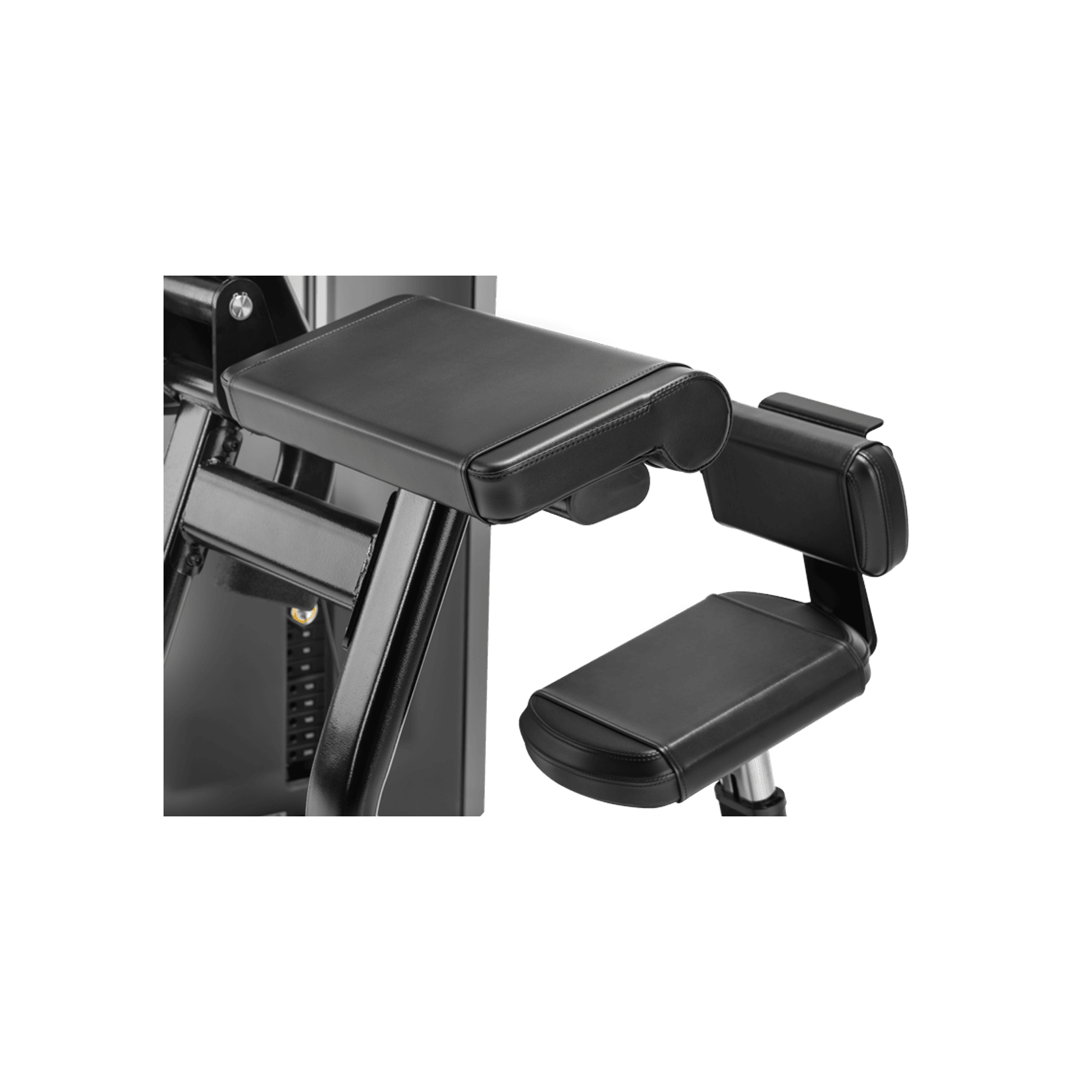 Triceps Extension gallery detail image