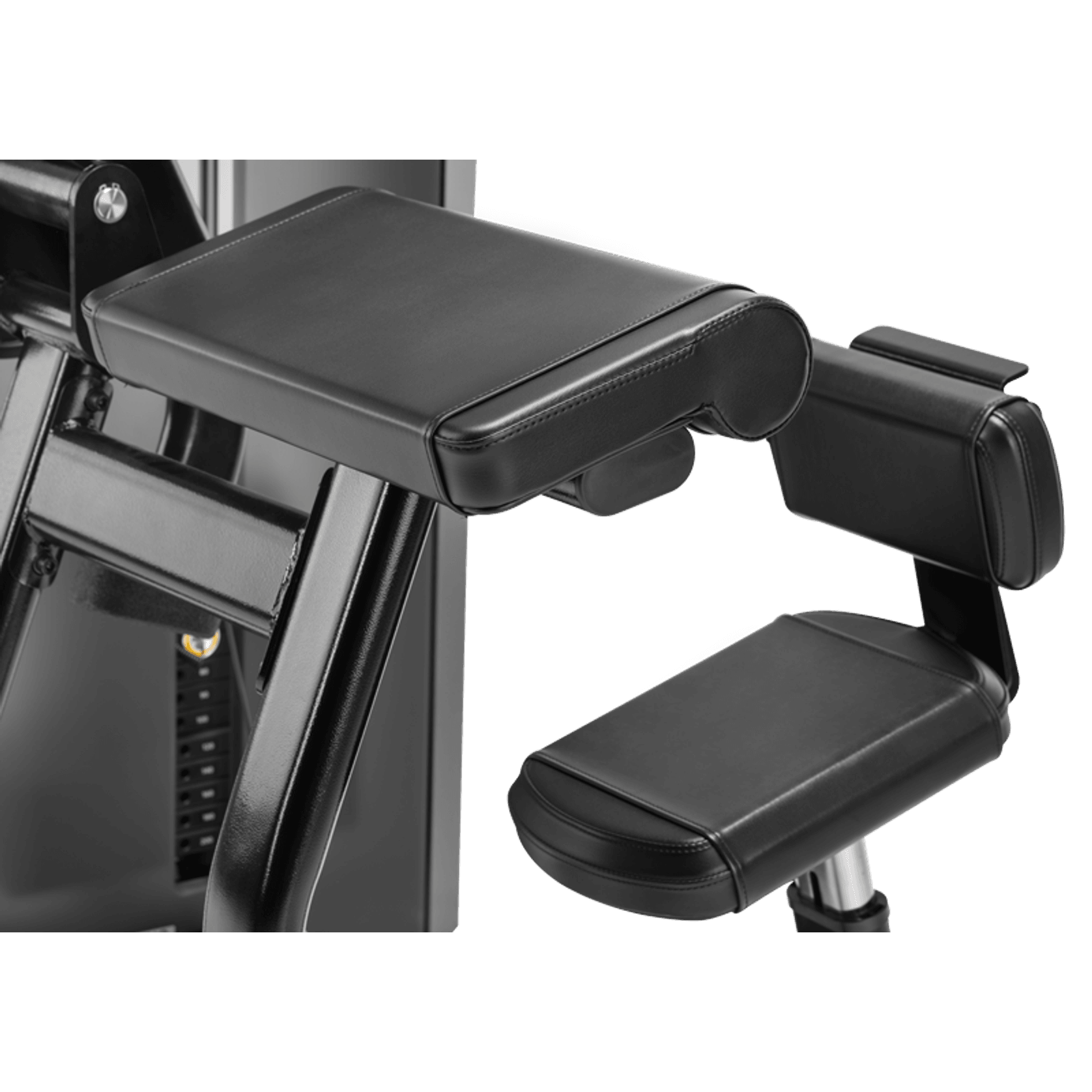 Triceps Extension gallery detail image