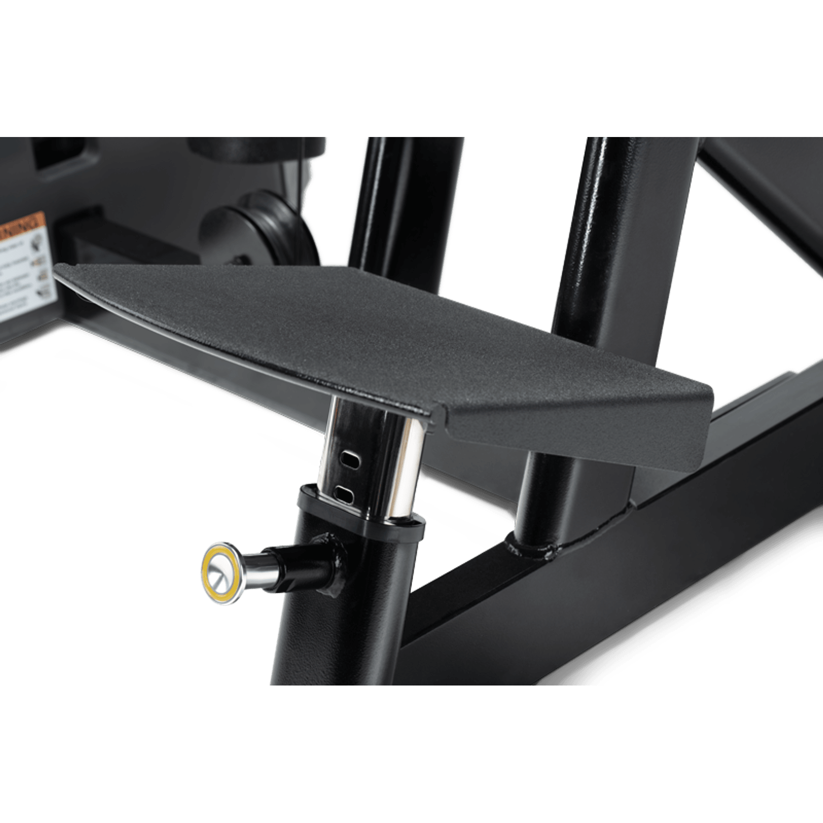 Back Extension gallery detail image