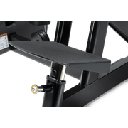 Back Extension gallery detail image