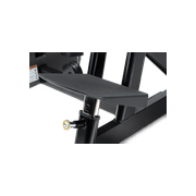 Back Extension gallery detail image