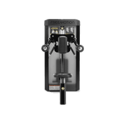 Lateral Raise gallery detail image