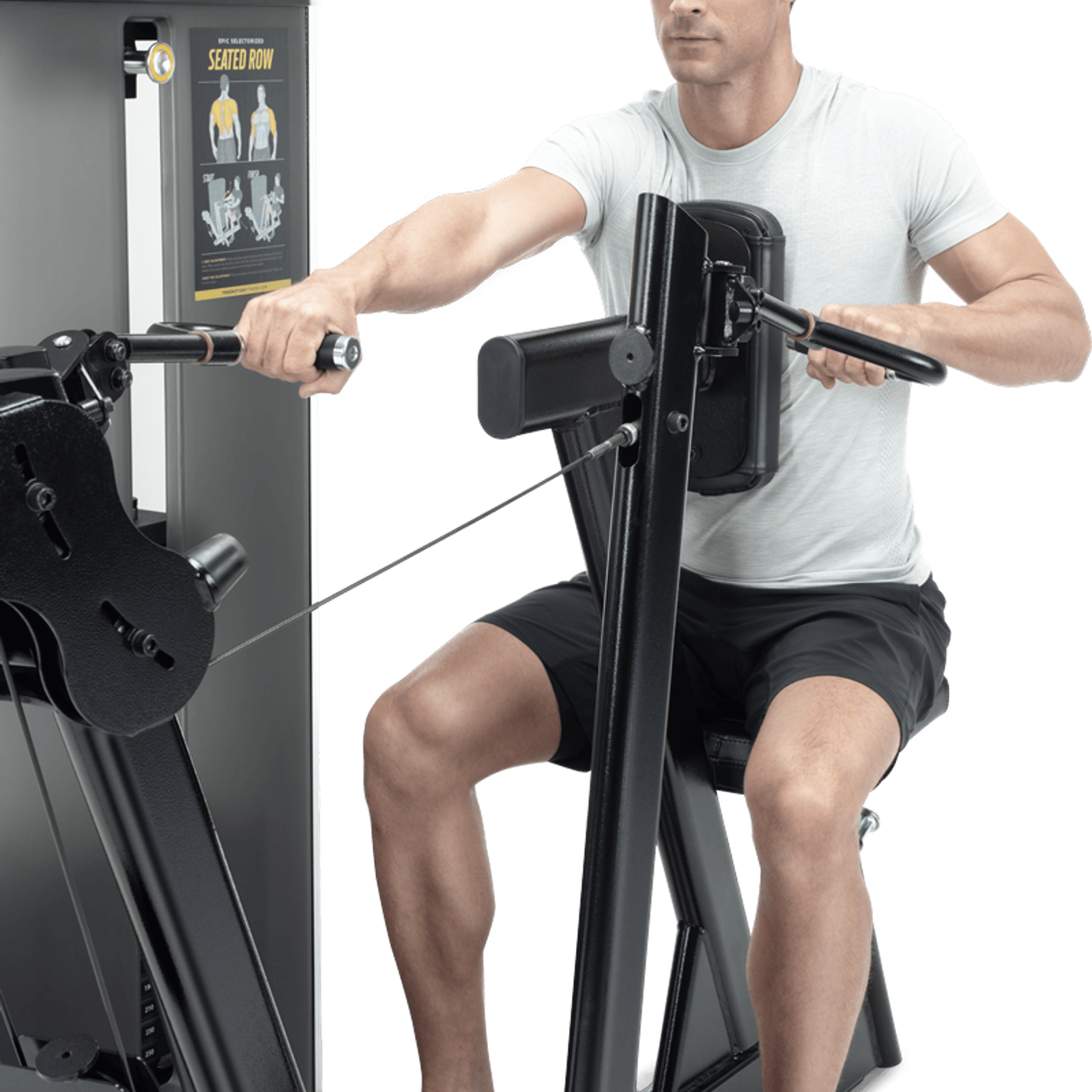 Seated Row gallery detail image