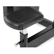 Torso Rotation gallery detail image