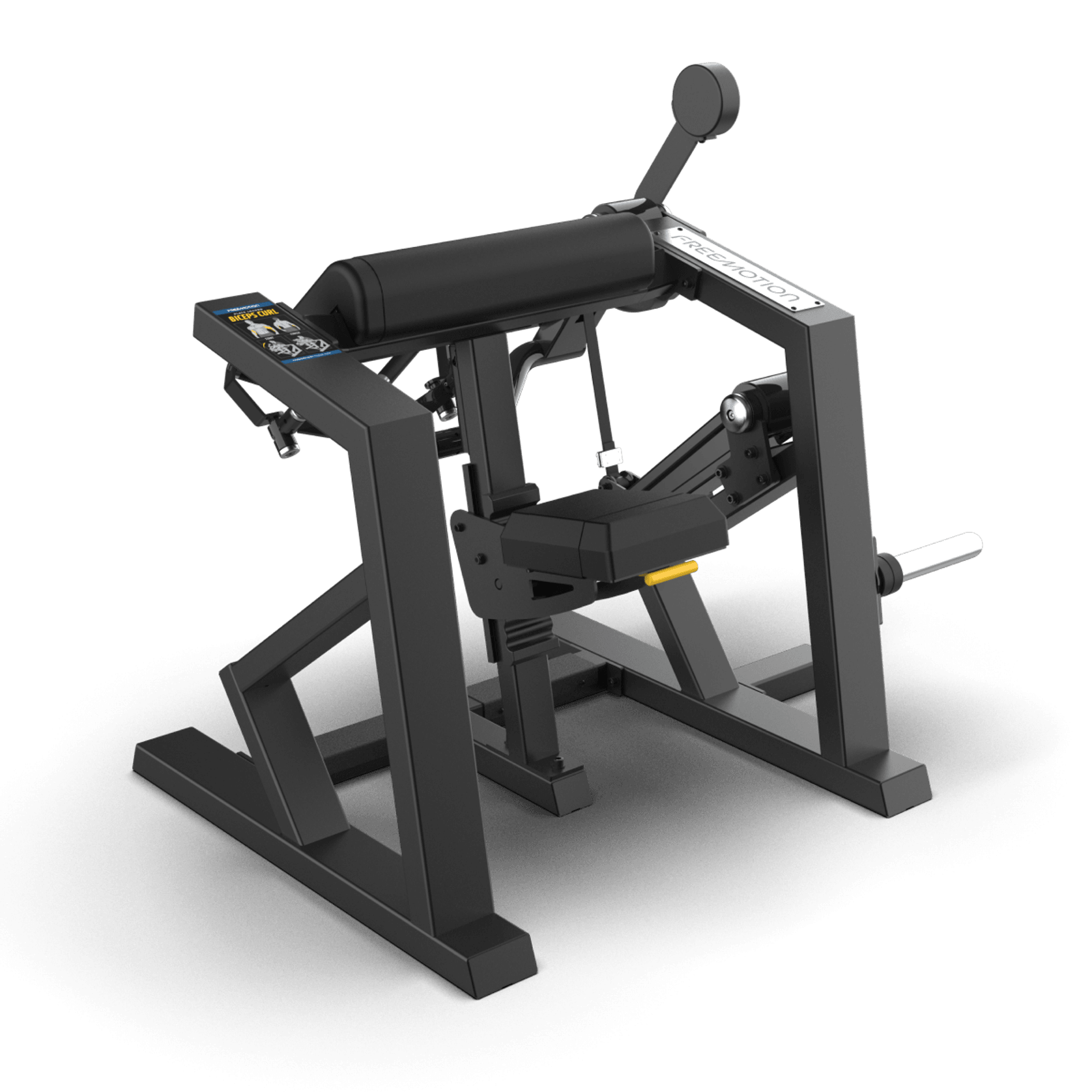 Biceps Curl gallery detail image