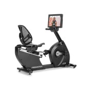 R22.9 Recumbent Bike gallery detail image
