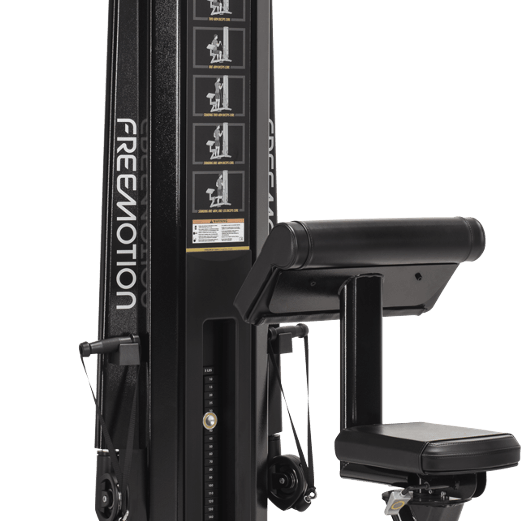 Biceps gallery detail image