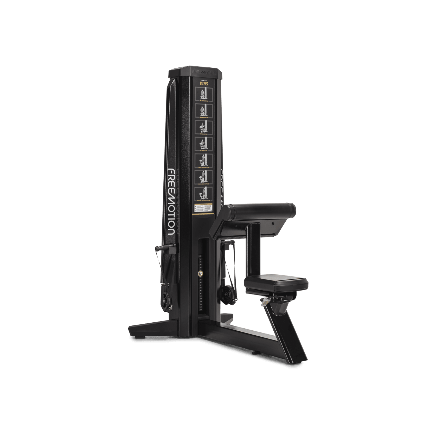 Biceps gallery detail image