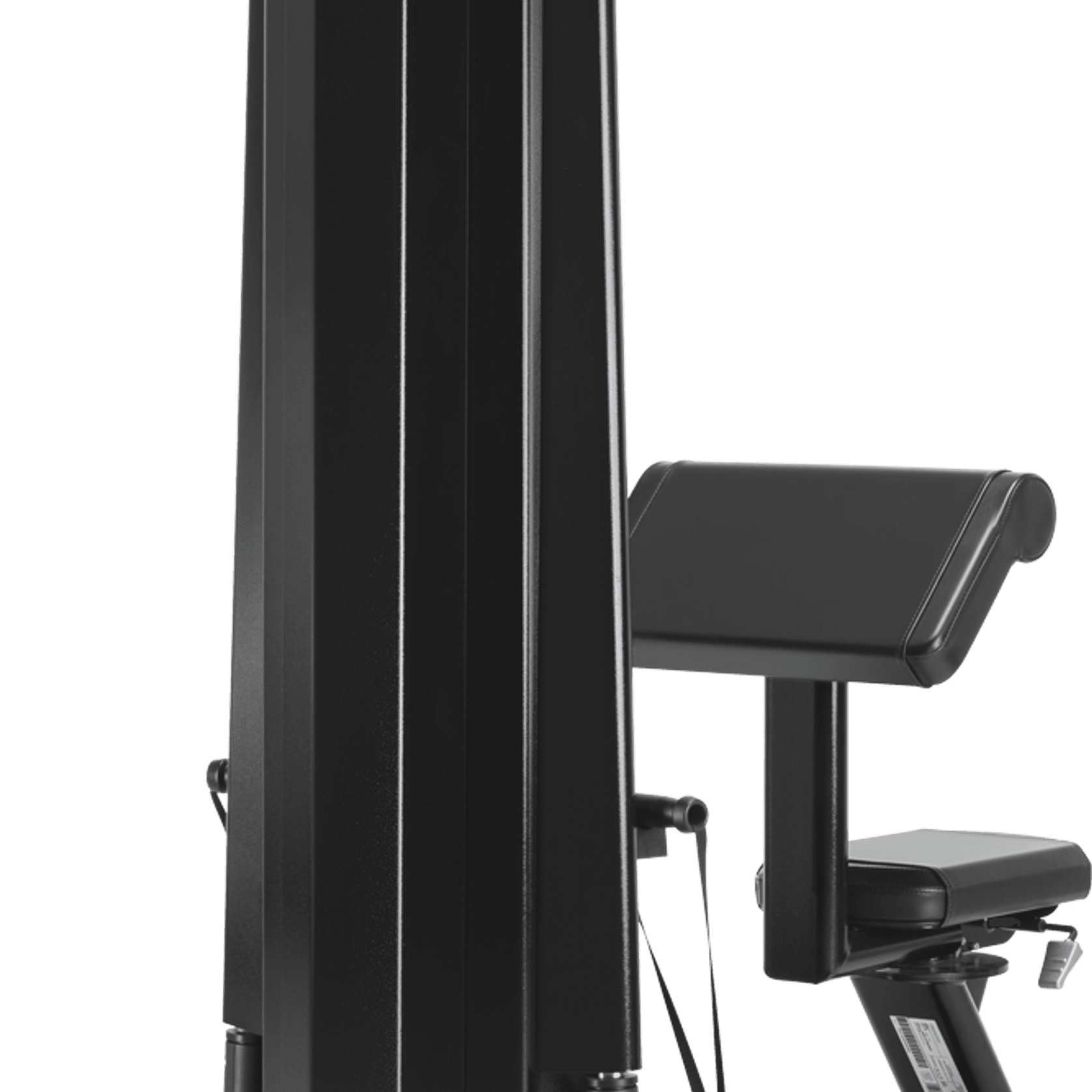 Biceps gallery detail image