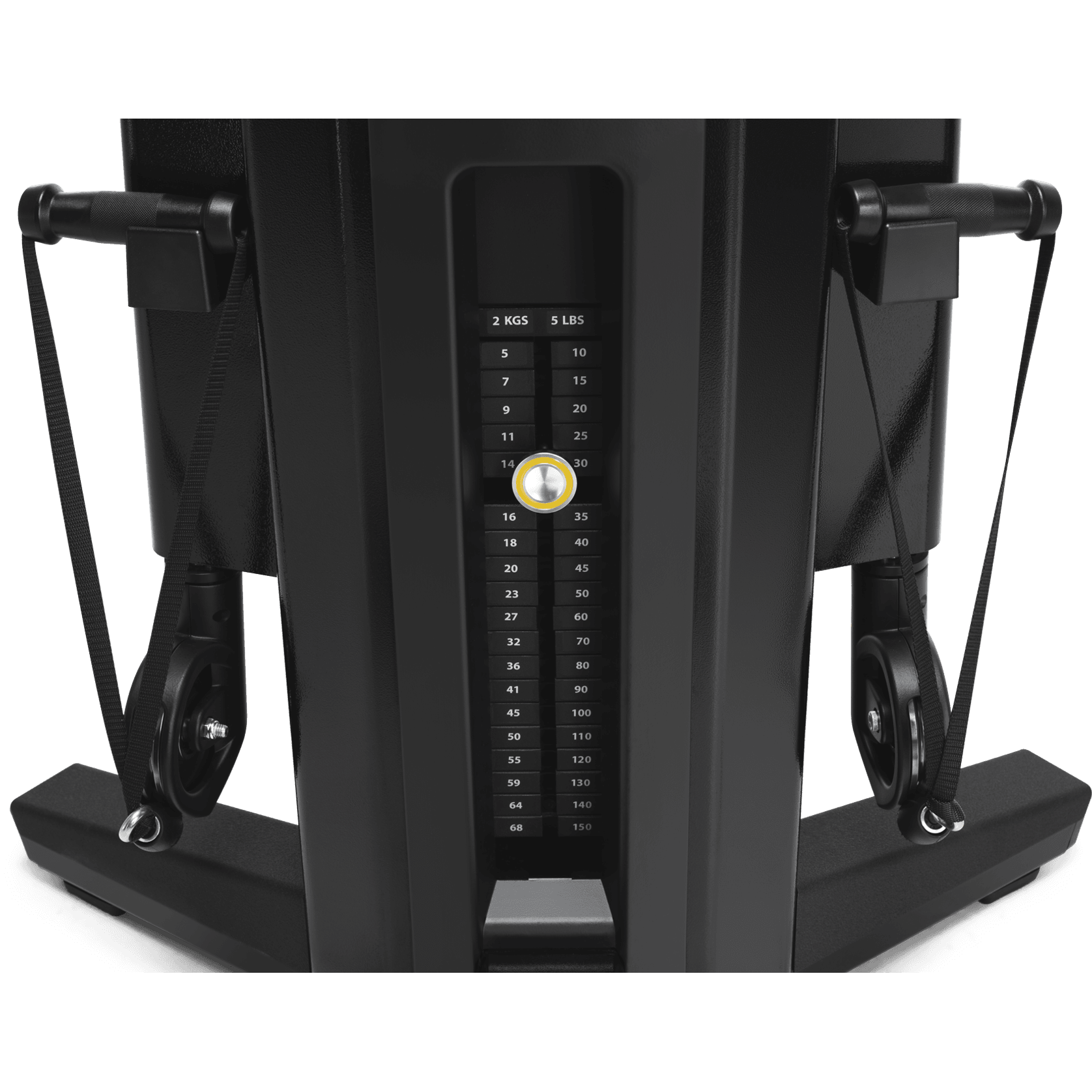 Biceps gallery detail image