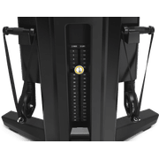 Biceps gallery detail image