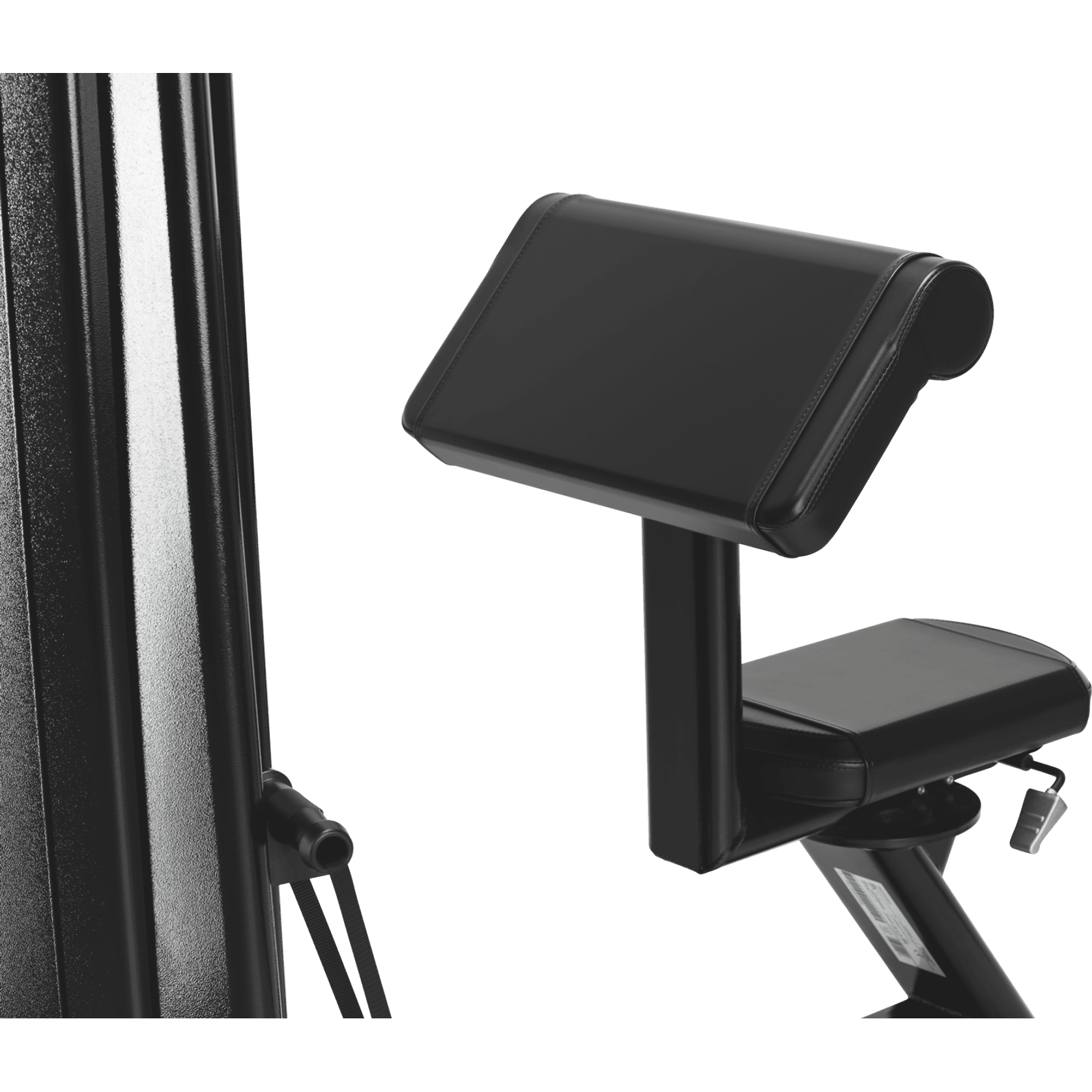 Biceps gallery detail image