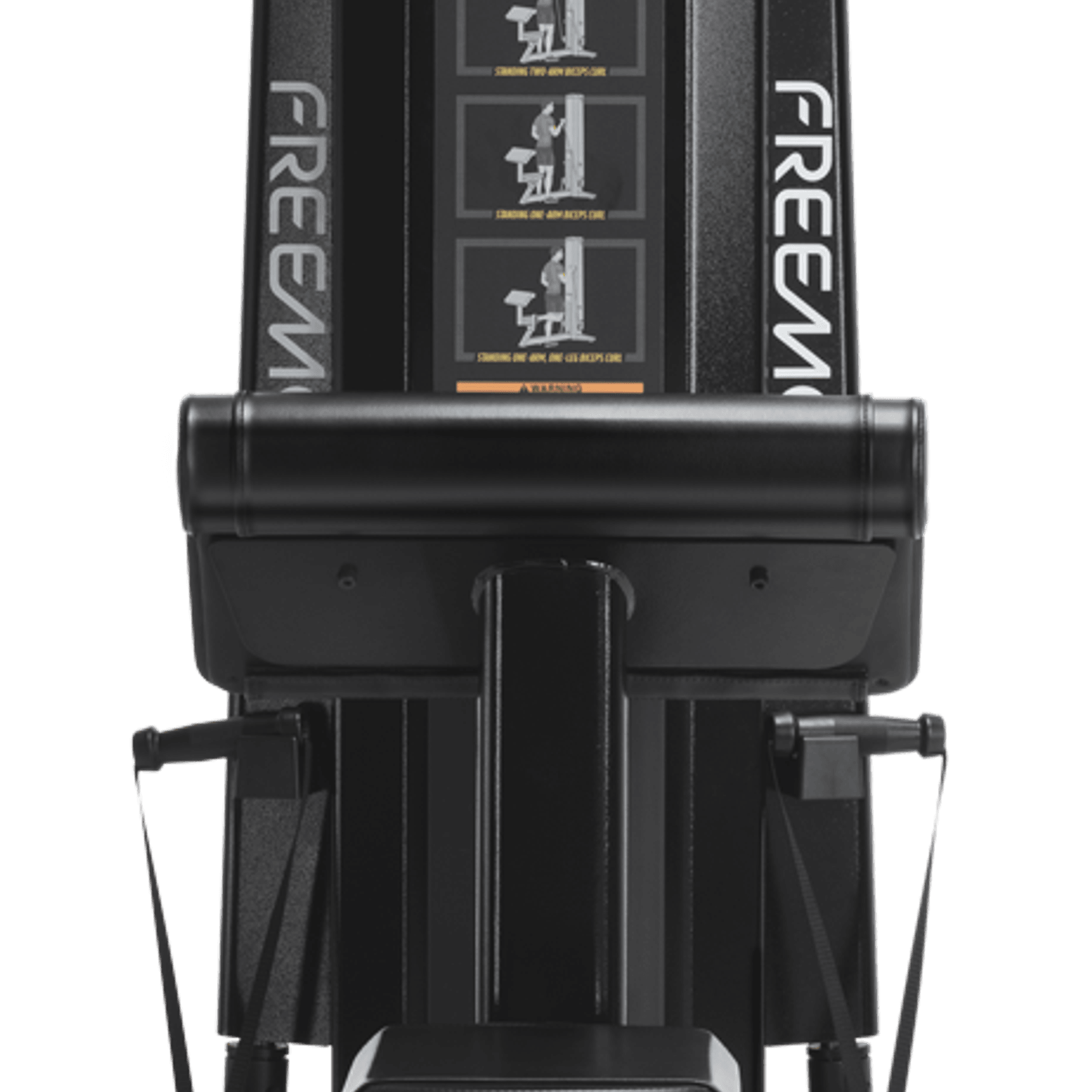 Biceps gallery detail image