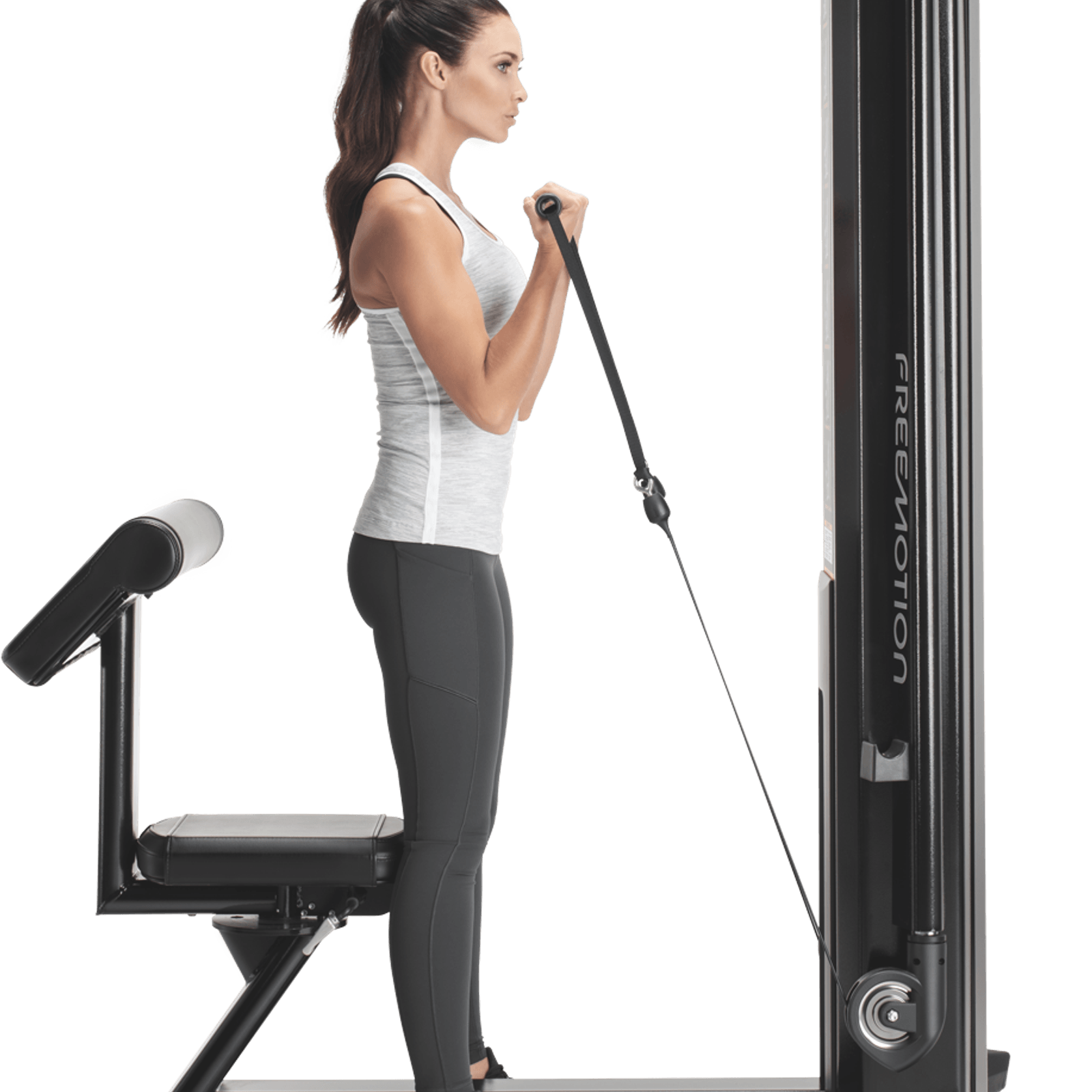 Biceps gallery detail image