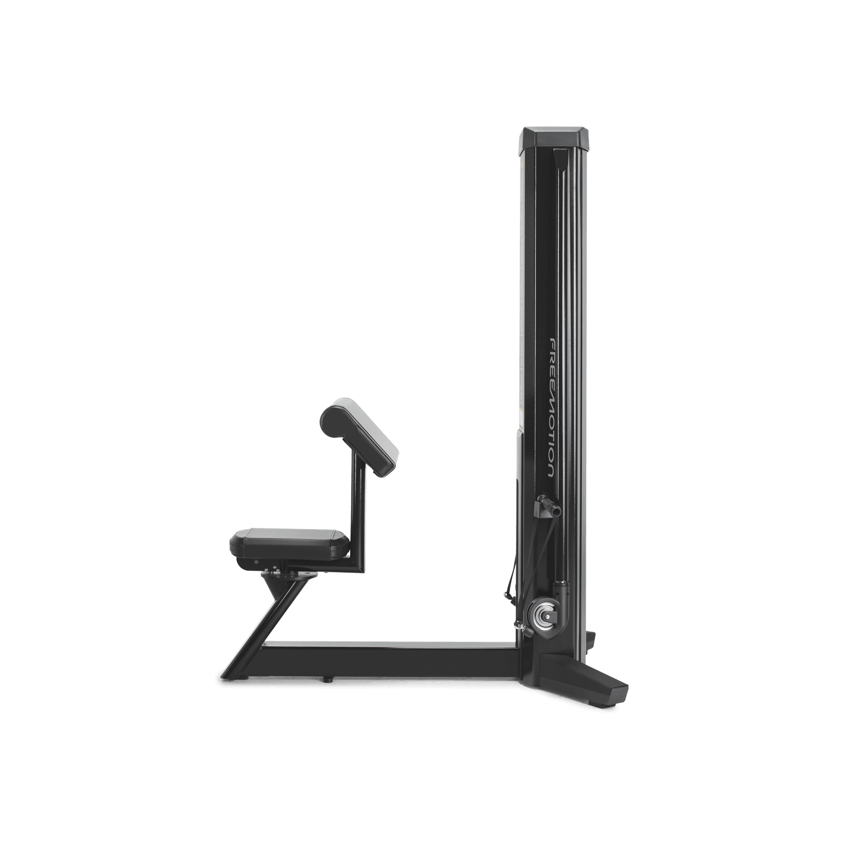 Biceps gallery detail image