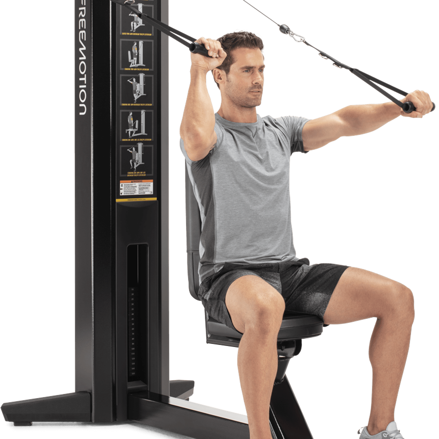 Triceps gallery detail image