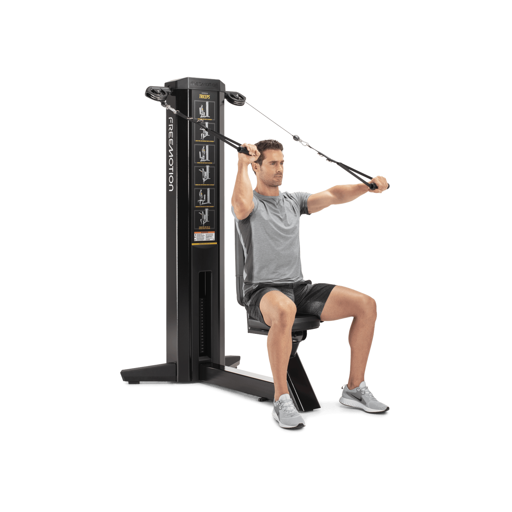 Triceps gallery detail image