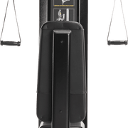 Triceps gallery detail image