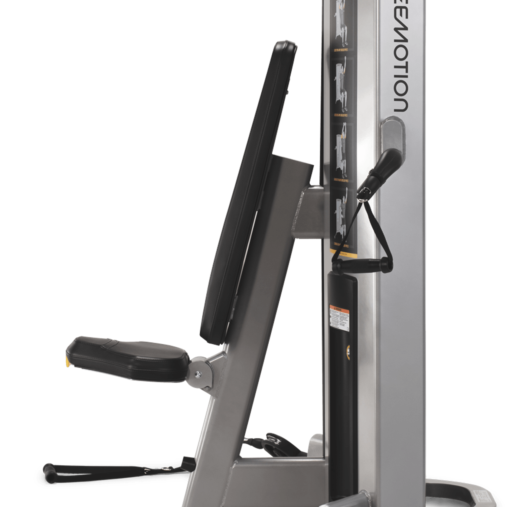 Chest / Shoulder gallery detail image