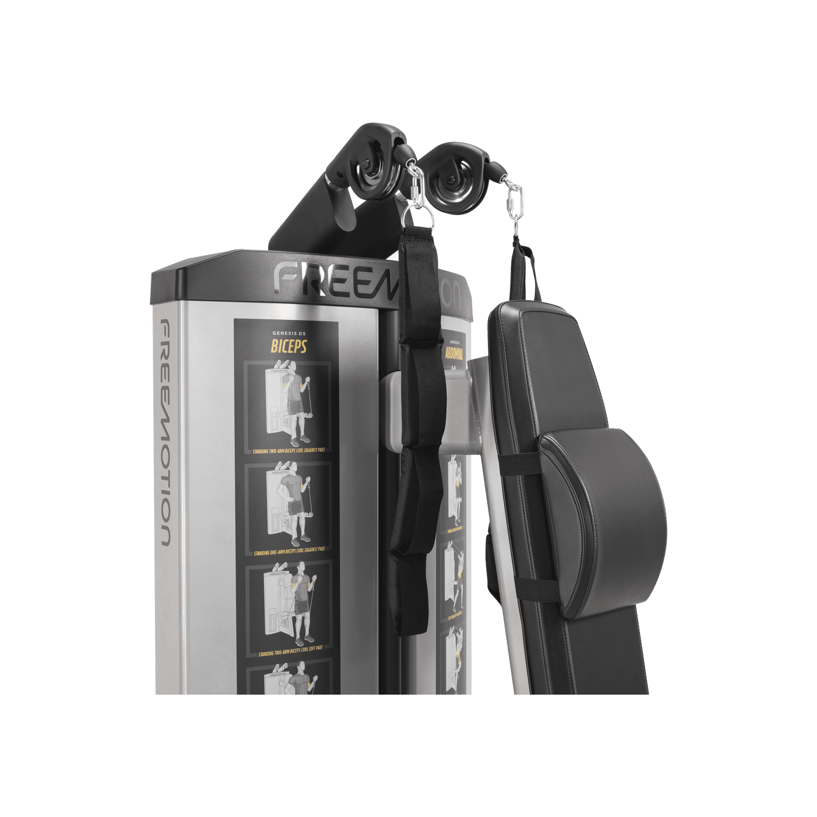 Abdominal / Biceps gallery detail image