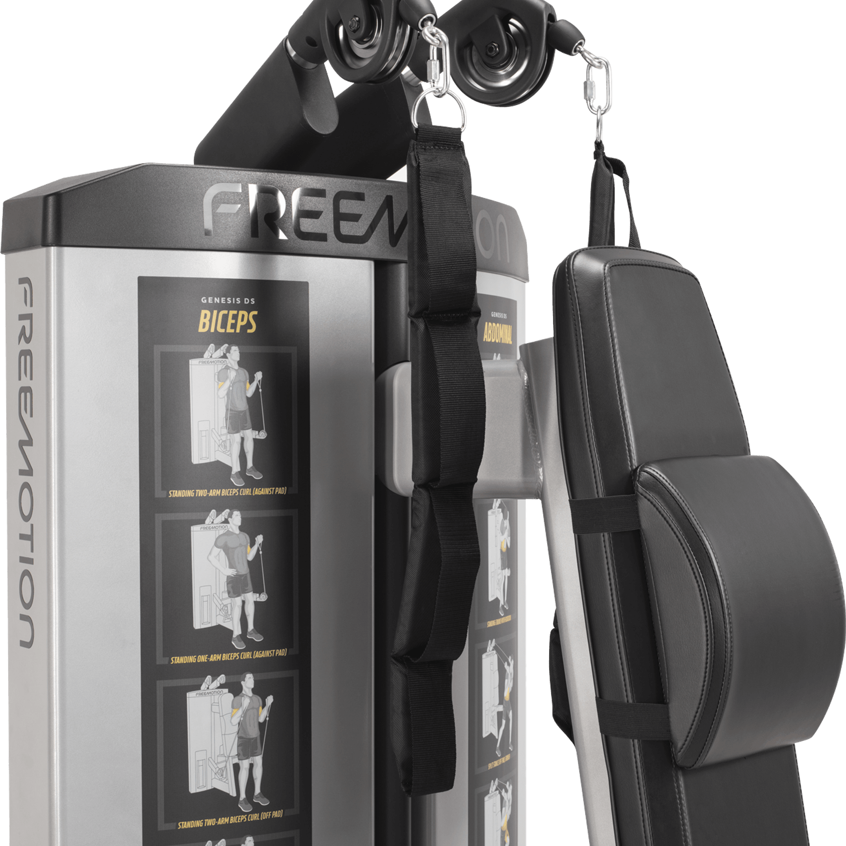 Abdominal / Biceps gallery detail image