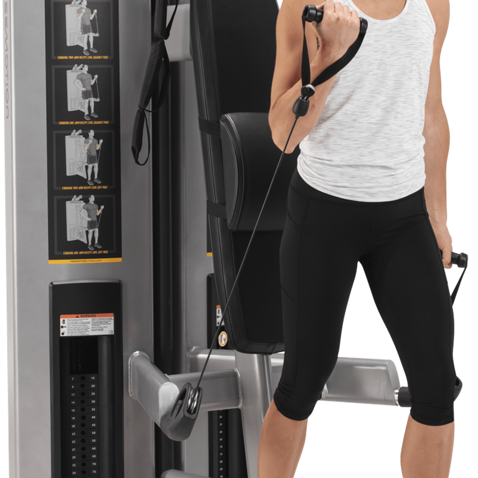 Abdominal / Biceps gallery detail image