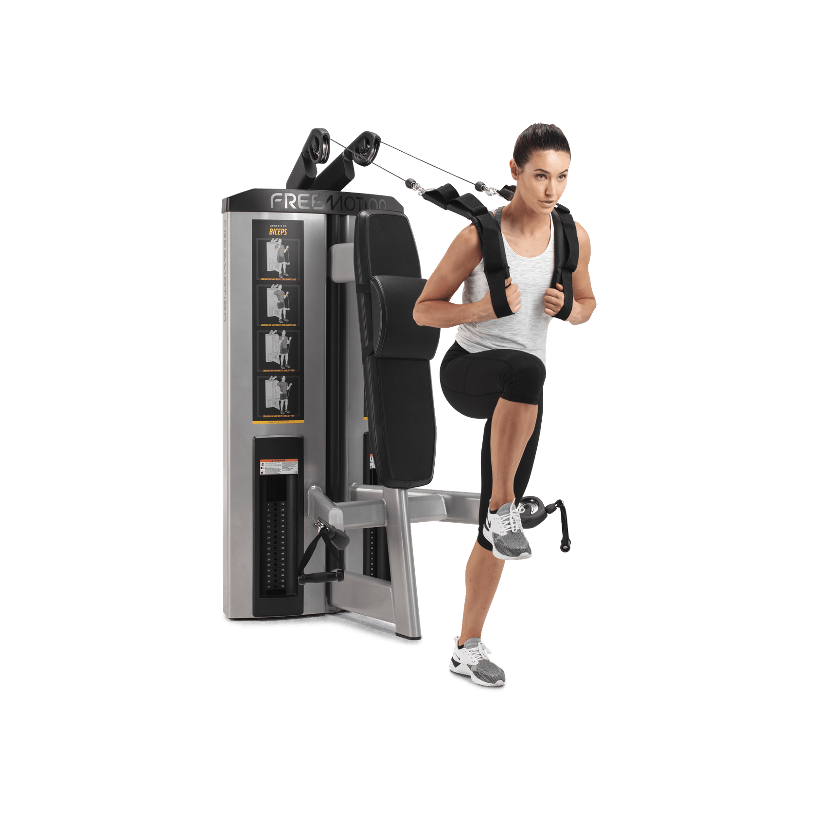 Abdominal / Biceps gallery detail image