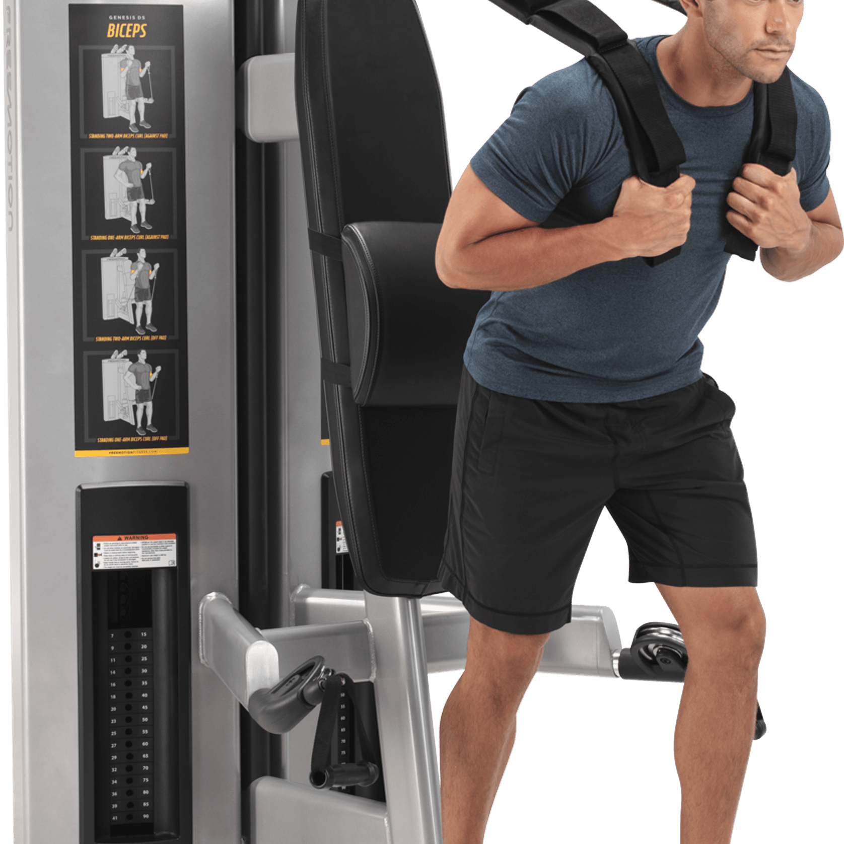 Abdominal / Biceps gallery detail image