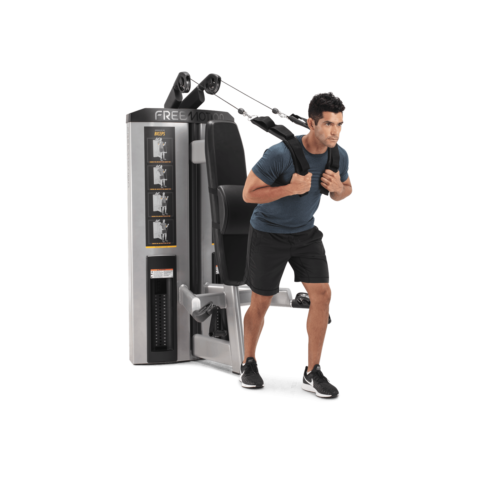 Abdominal / Biceps gallery detail image