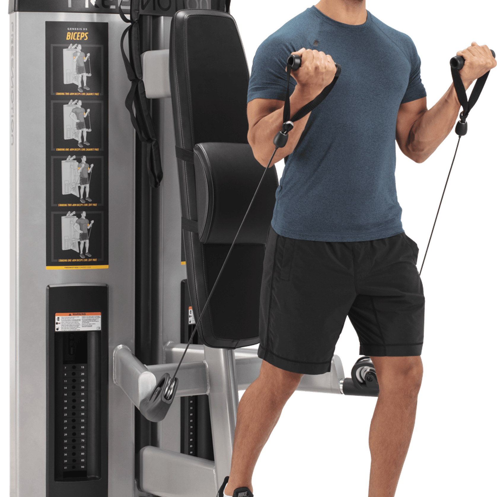 Abdominal / Biceps gallery detail image