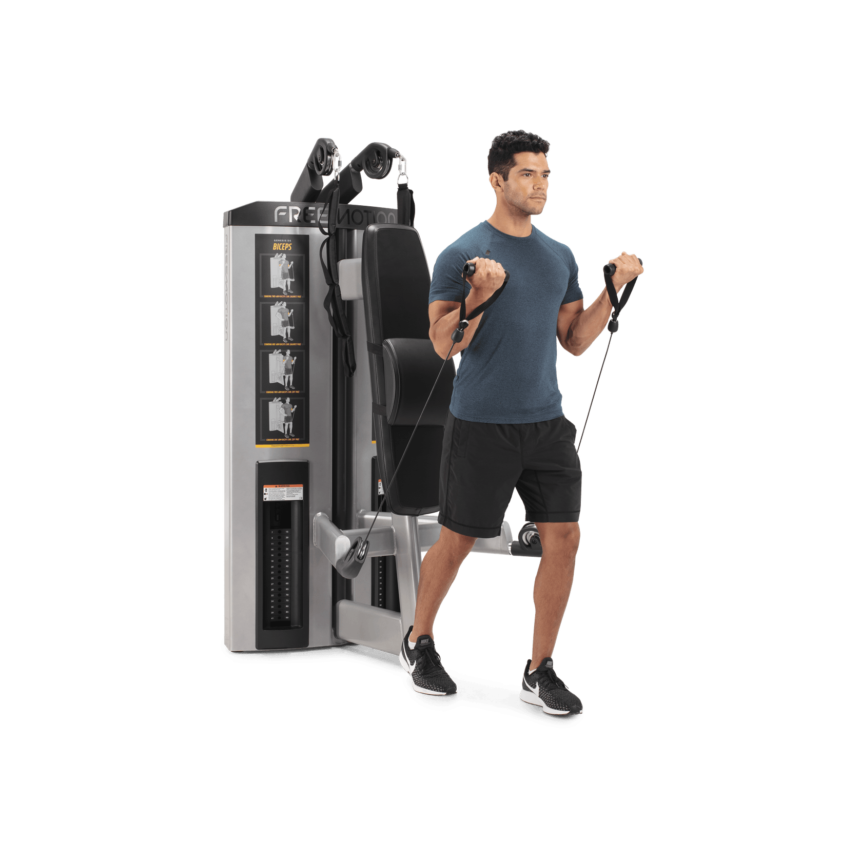 Abdominal / Biceps gallery detail image