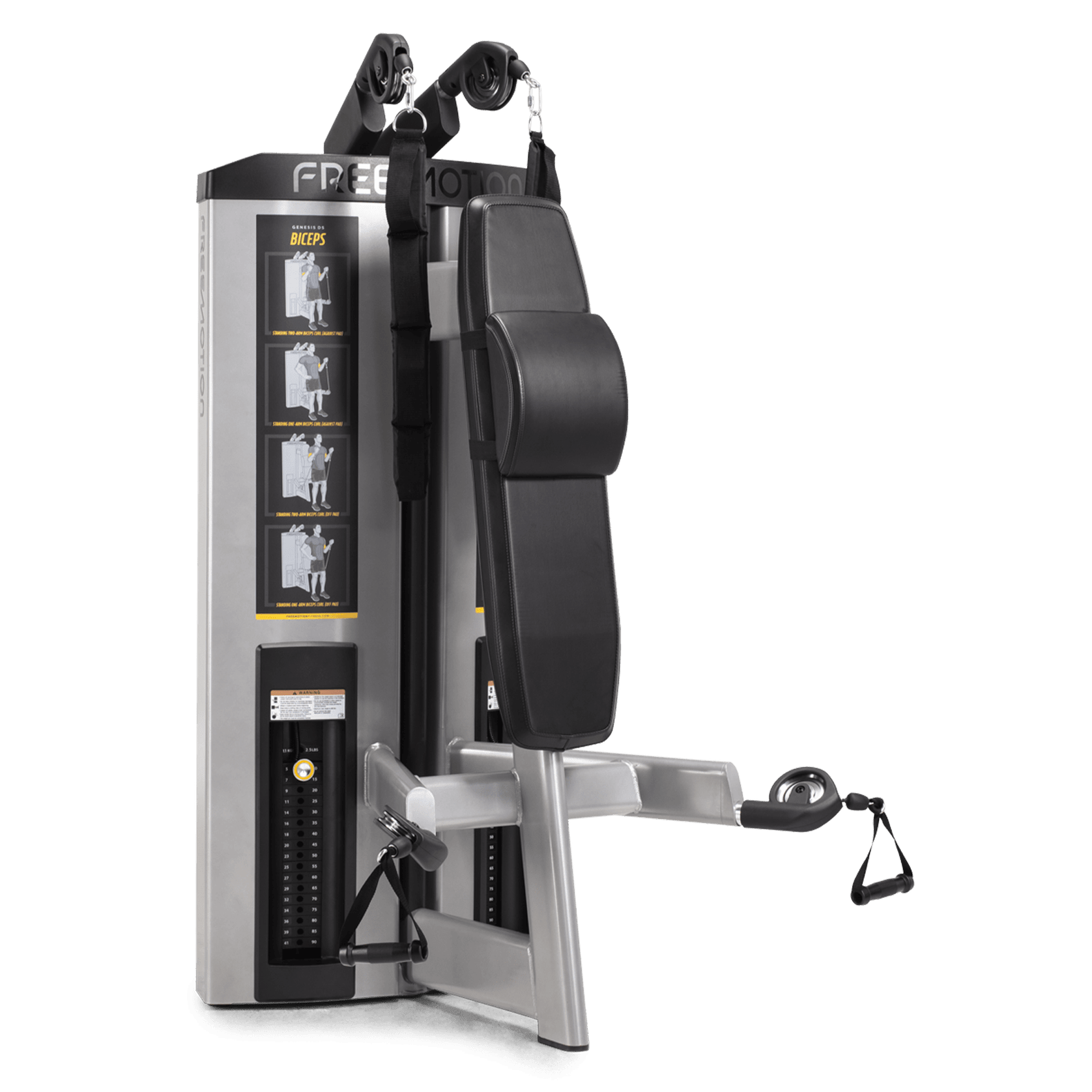 Abdominal / Biceps gallery detail image