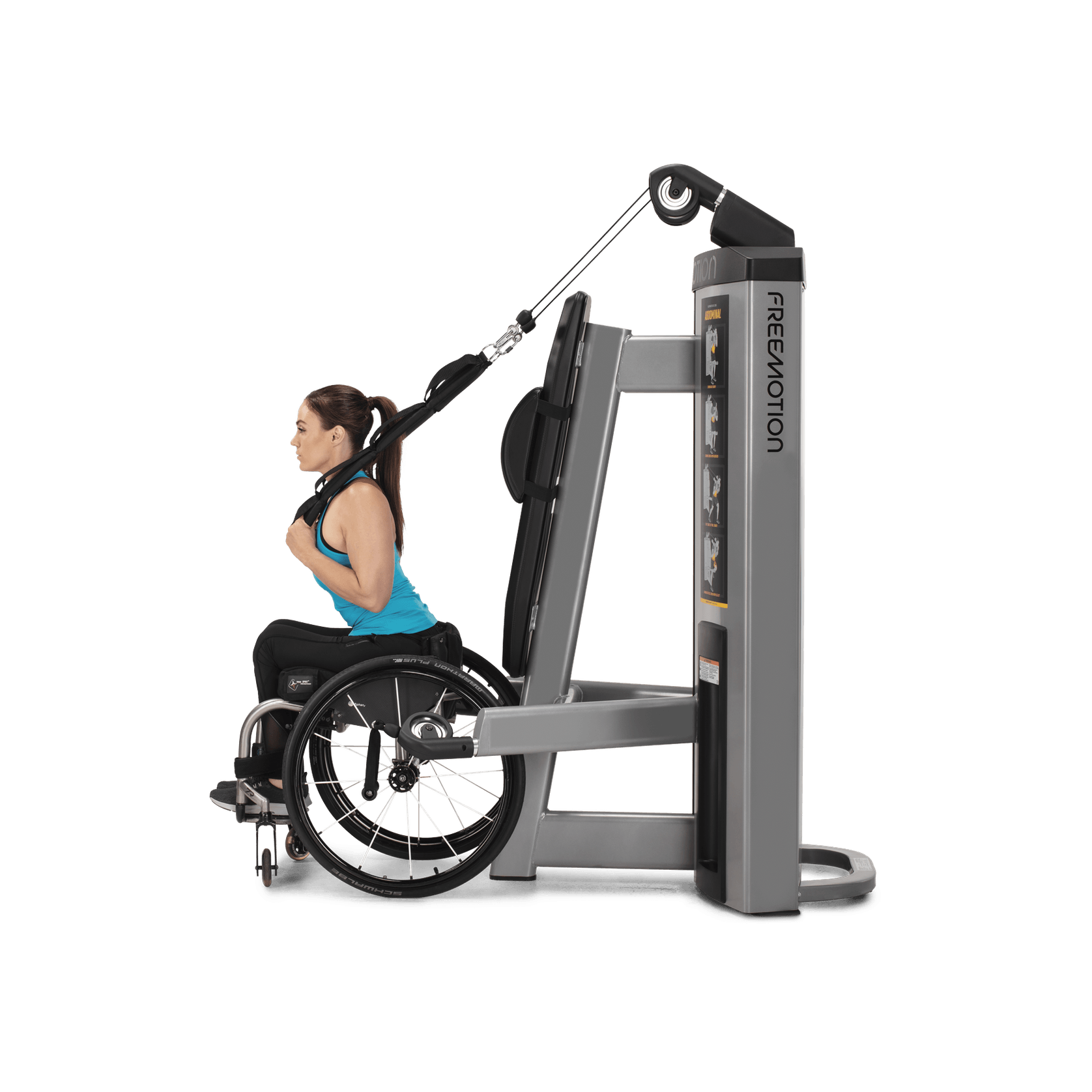 Abdominal / Biceps gallery detail image