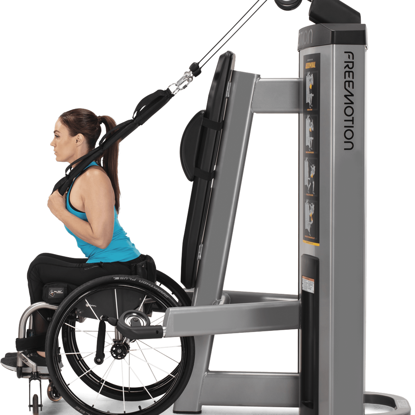 Abdominal / Biceps gallery detail image